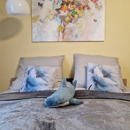 Veludo Apartments Centrum Free Parking 반스카비스트리카 외부 사진